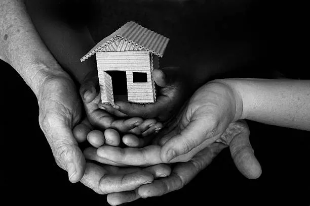 Shelter